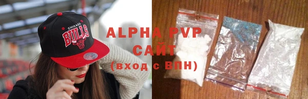 стафф Арсеньев