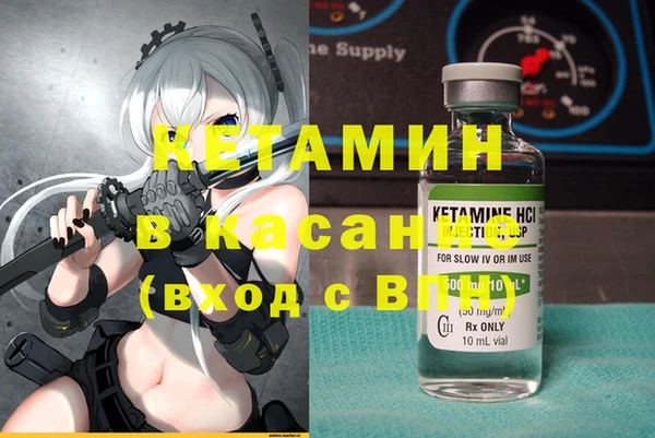 стафф Арсеньев