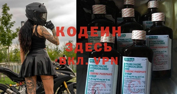 стафф Арсеньев