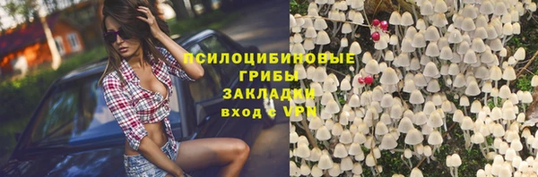 мяу мяу мука Армянск