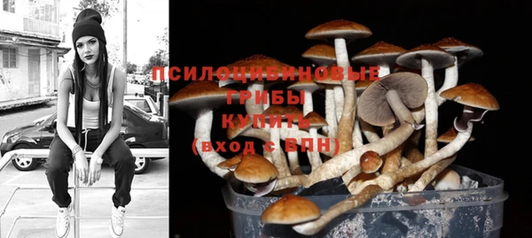 стафф Арсеньев