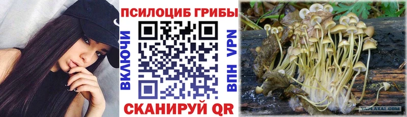 где продают   Россошь  Псилоцибиновые грибы мухоморы 